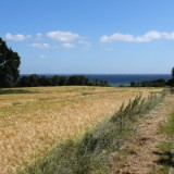 1406F 047 Ostseekuesten Radweg